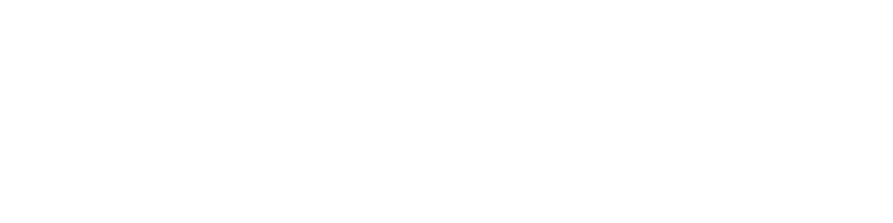 TranslateWise Logo